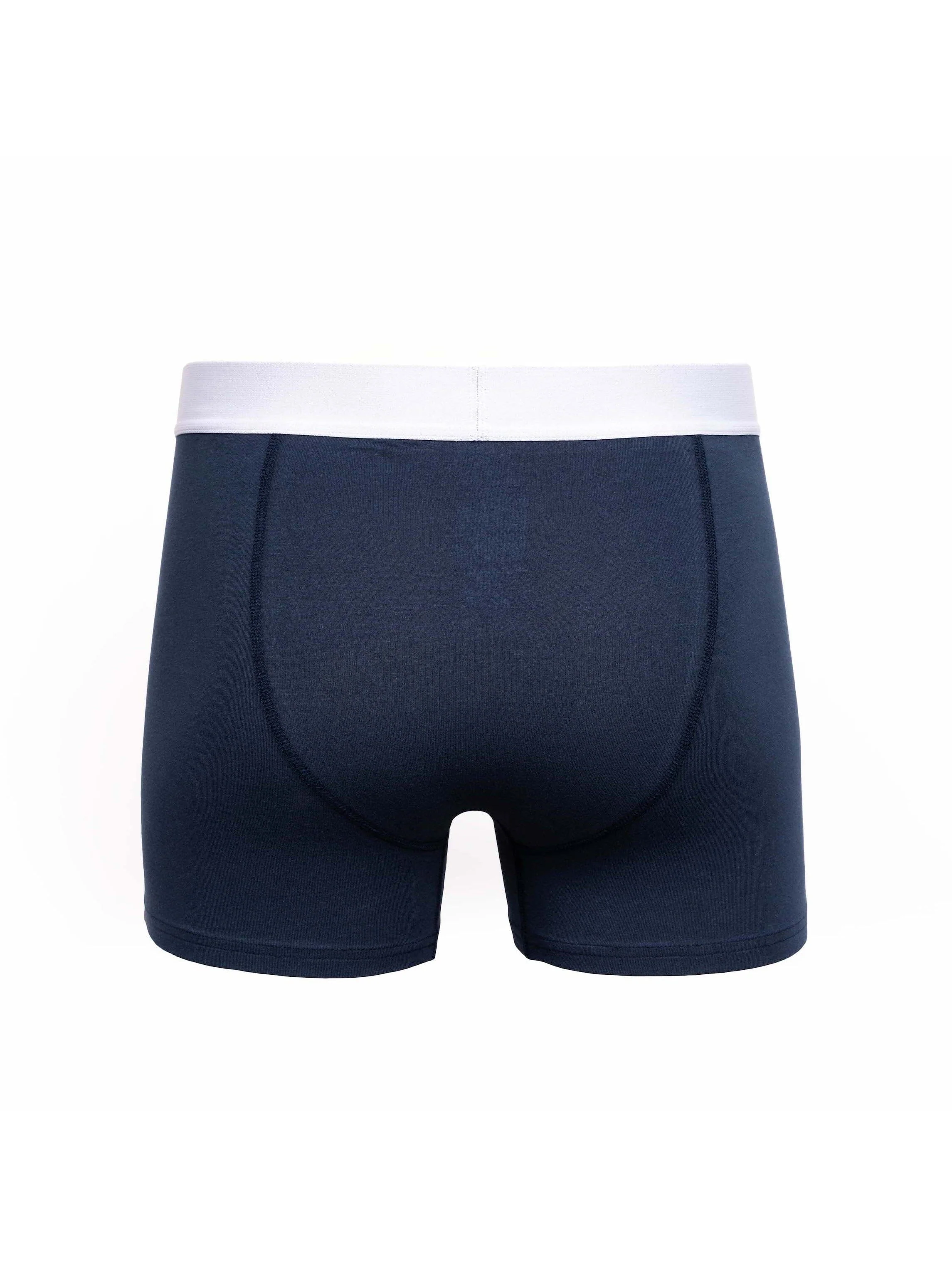 Galton Boxers 2 Pk - Image 3